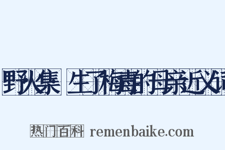野火集·生了梅毒的母亲近义词是什么意思的图片